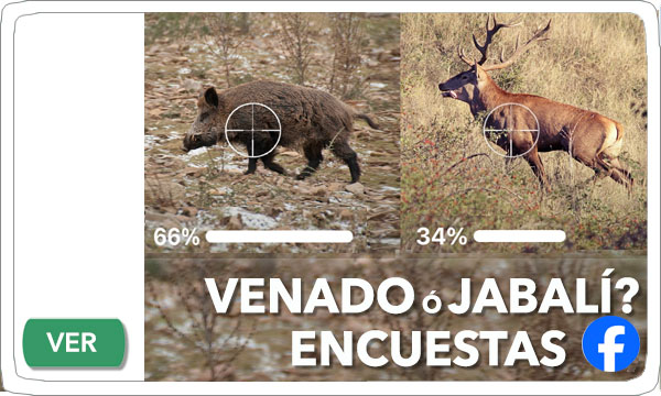 Modulo Portada 2026 Encuestas