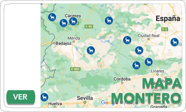 Modulo Portada 2021 Reservas