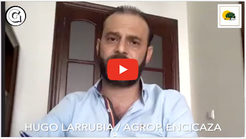 Entrevistas Hugo Larrubia