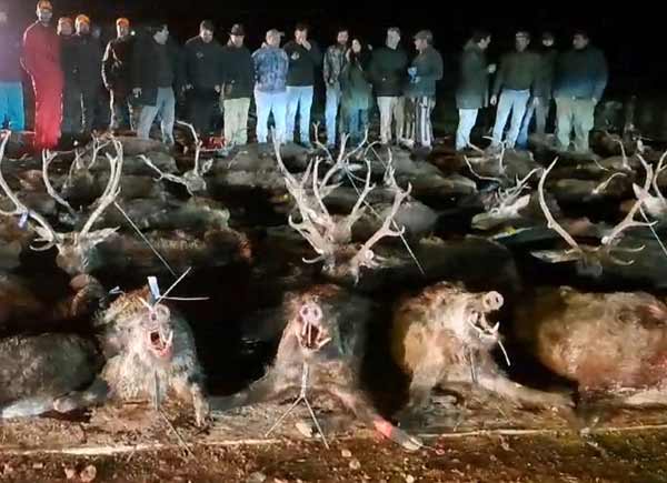 Chaqueta Caza Blaser