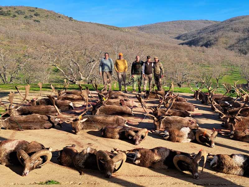 Chaqueta Caza Blaser