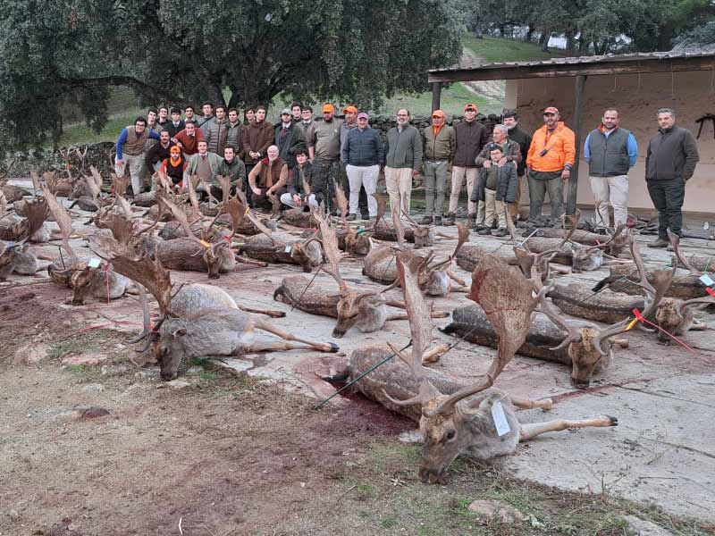 Chaqueta Caza Blaser