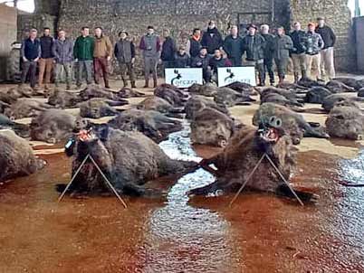Chaqueta Caza Blaser