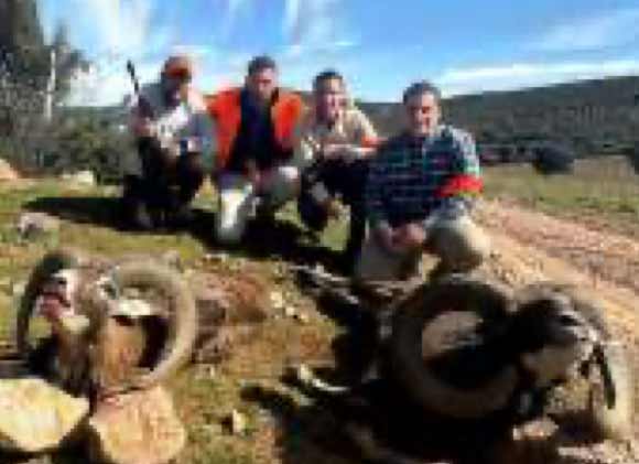 Chaqueta Caza Blaser