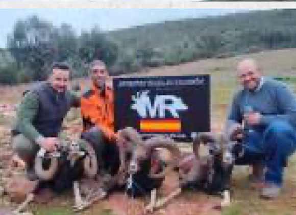 Chaqueta Caza Blaser