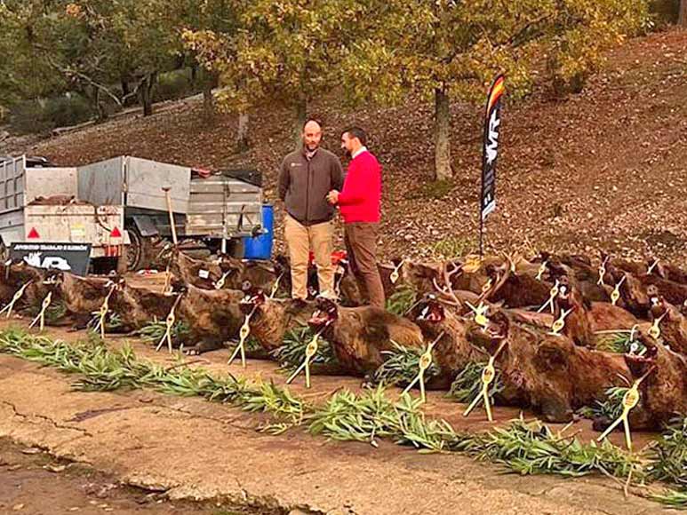 Chaqueta Caza Blaser