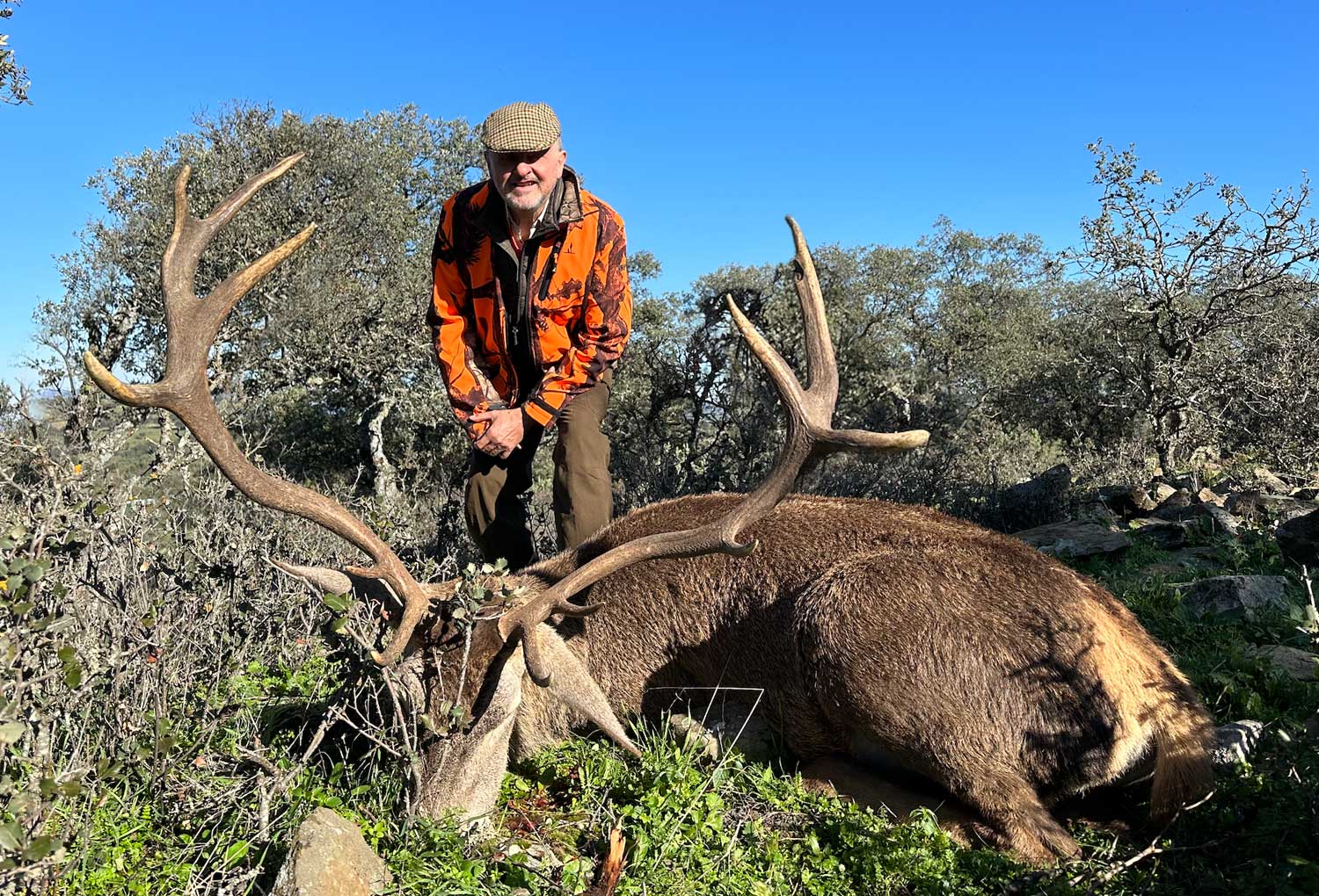 Chaqueta Caza Blaser