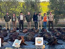 Chaqueta Caza Blaser