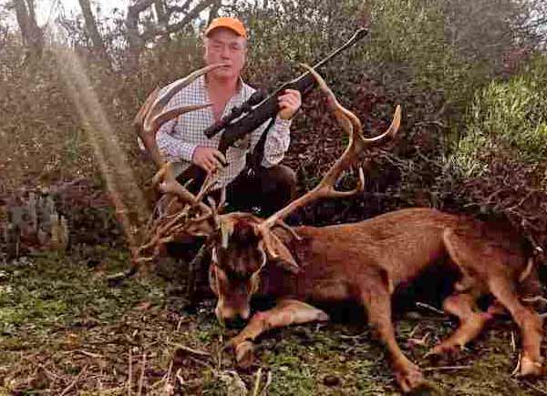 Chaqueta Caza Blaser