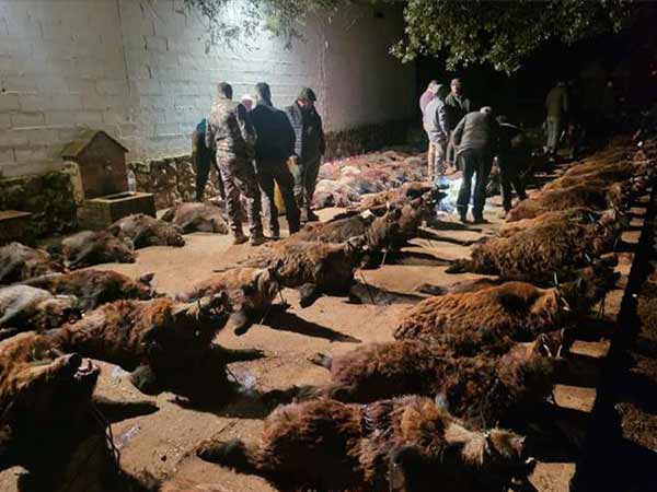 Chaqueta Caza Blaser