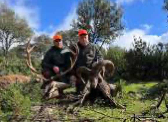 Chaqueta Caza Blaser