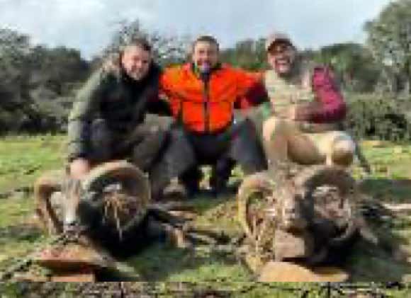 Chaqueta Caza Blaser