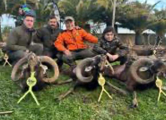 Chaqueta Caza Blaser