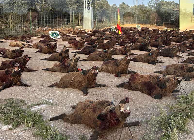 Chaqueta Caza Blaser