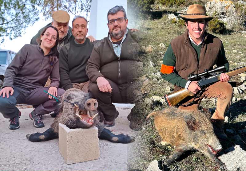 Chaqueta Caza Blaser