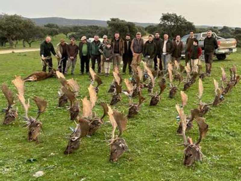 Chaqueta Caza Blaser