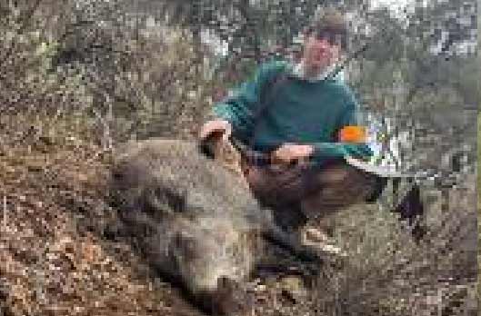 Chaqueta Caza Blaser