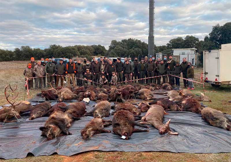 Monteria en finca El Allozo