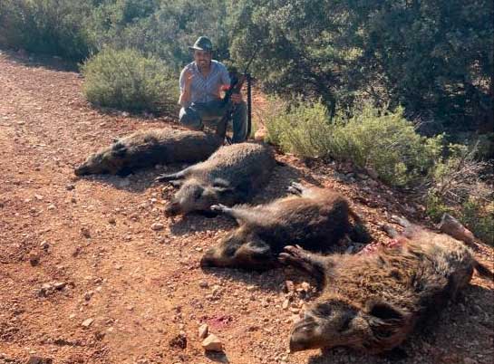 Monteria en finca El Gavilán