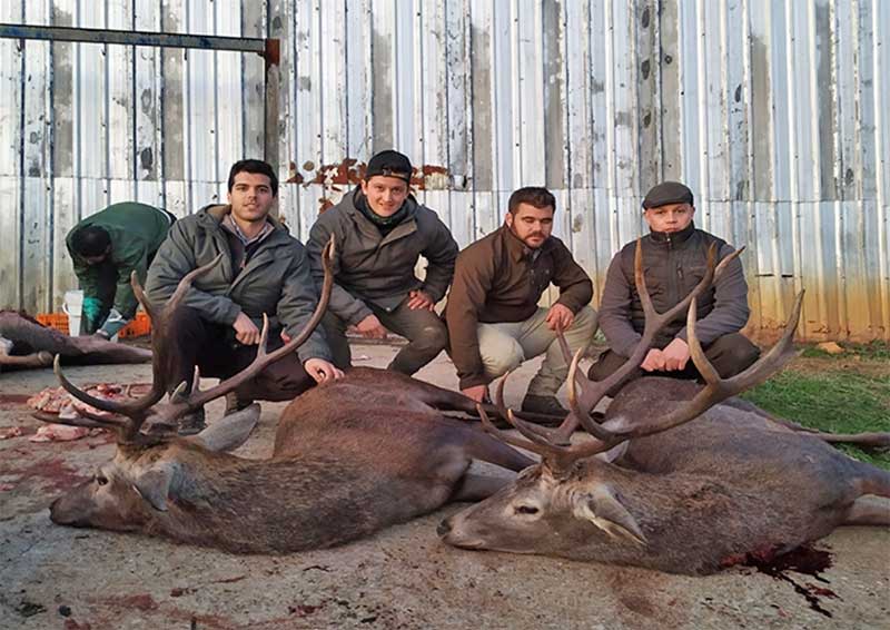 Encomienda de Mudela