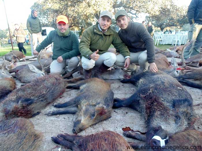 Monteria en finca Linarejos