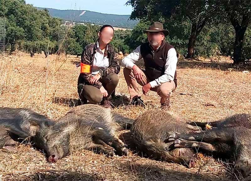 Monteria en finca La Atalaya