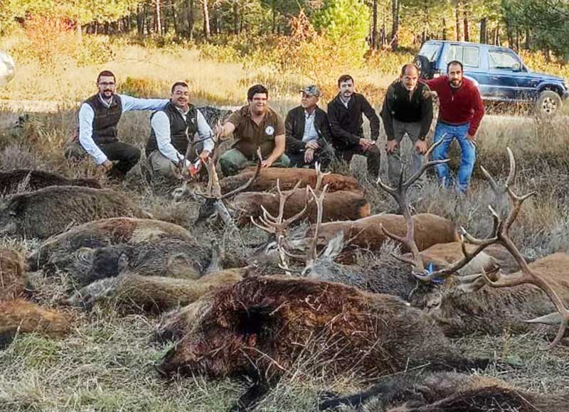 Monteria en finca Valdeucero