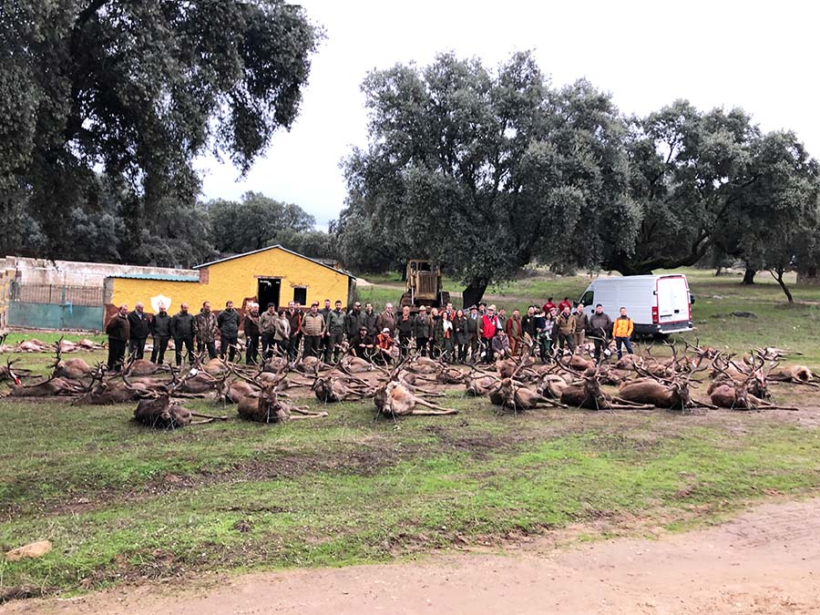 Ayuso2018020