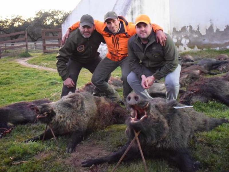 DehesaCasillas201902