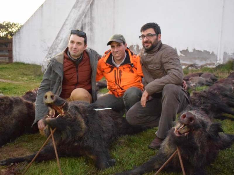 DehesaCasillas201903