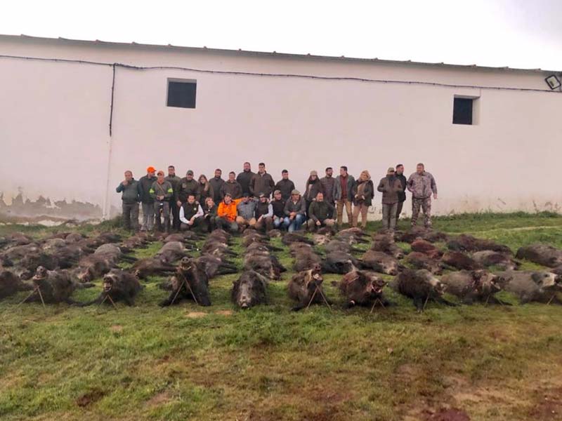 DehesaCasillas201906