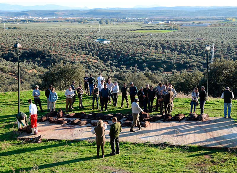 Valdezorras201805