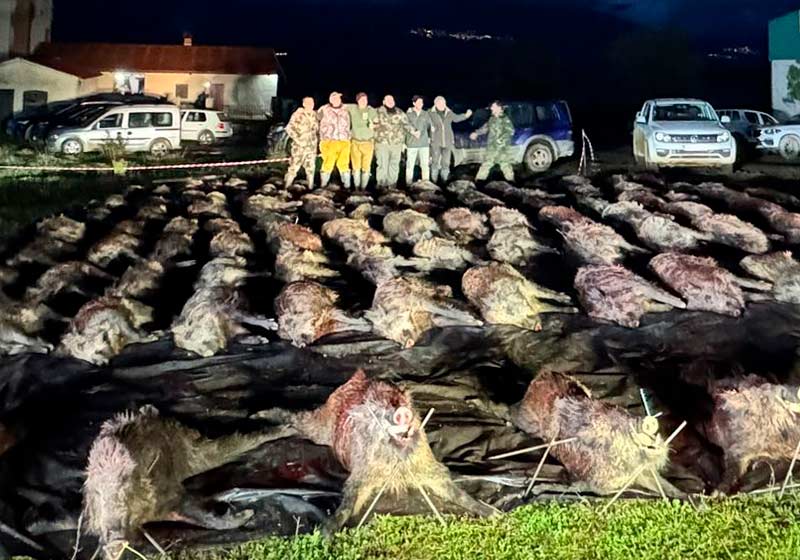 Chaqueta Caza Blaser