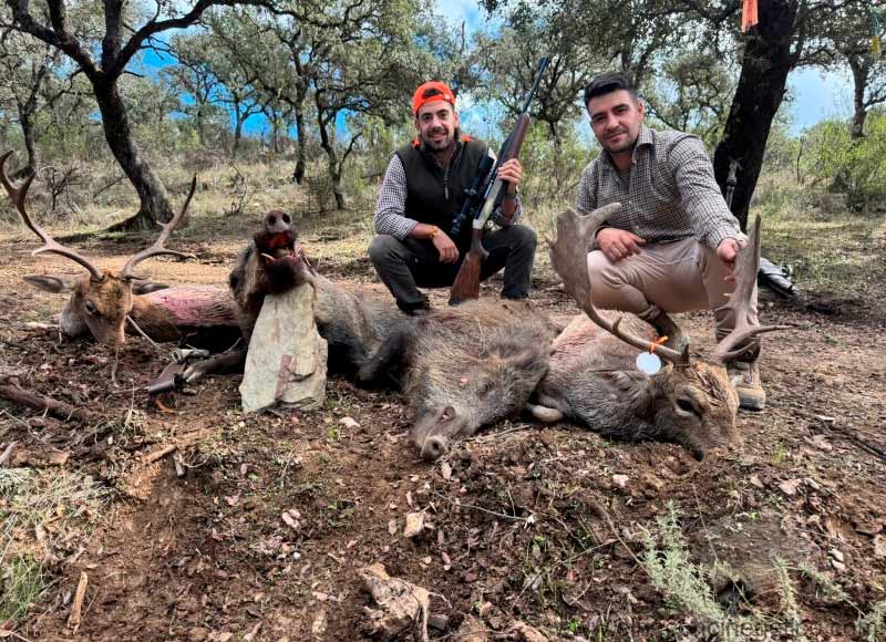 Chaqueta Caza Blaser