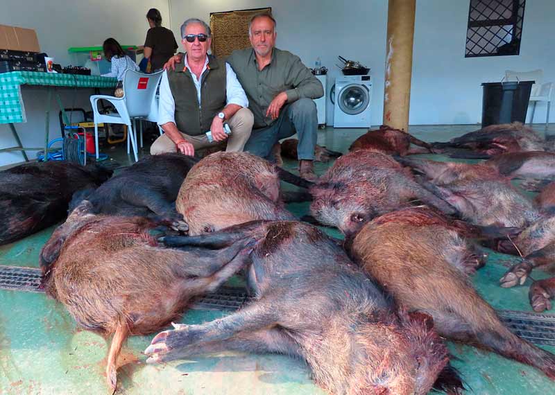 Chaqueta Caza Blaser