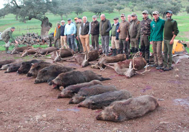 Chaqueta Caza Blaser