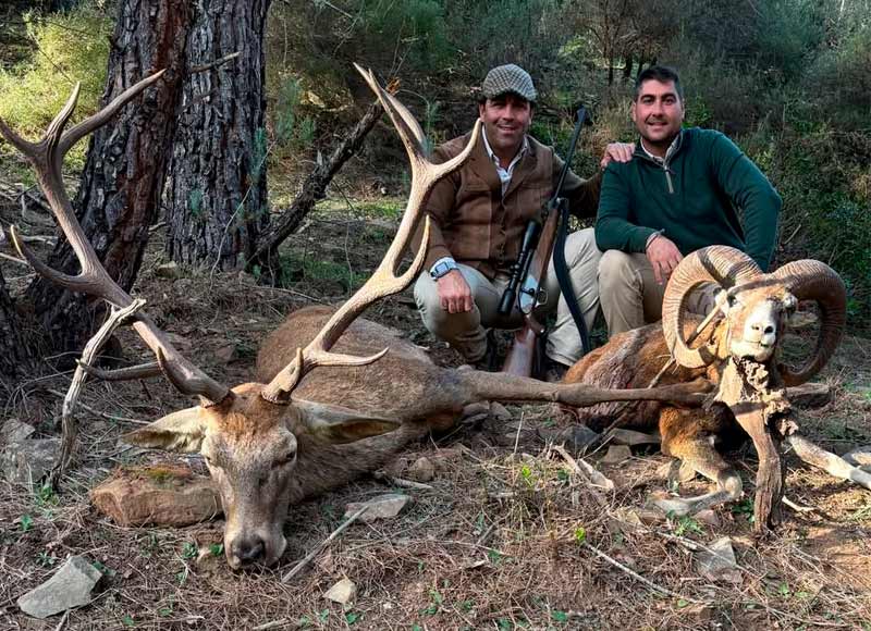 Chaqueta Caza Blaser