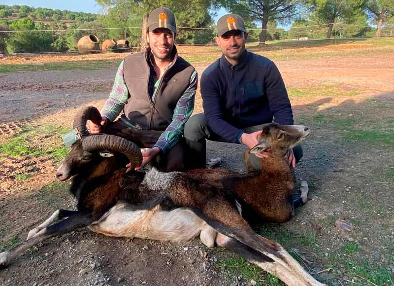 Chaqueta Caza Blaser