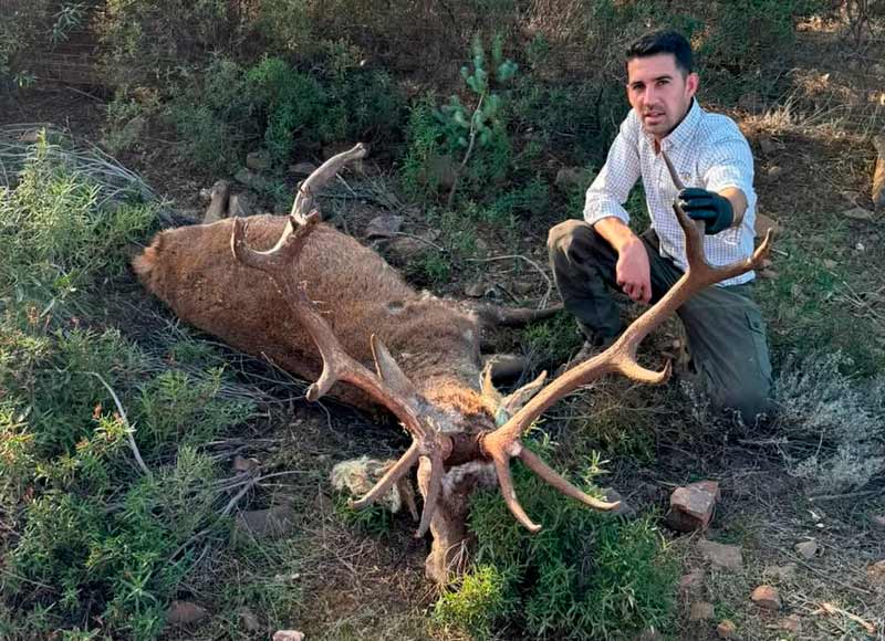 Chaqueta Caza Blaser