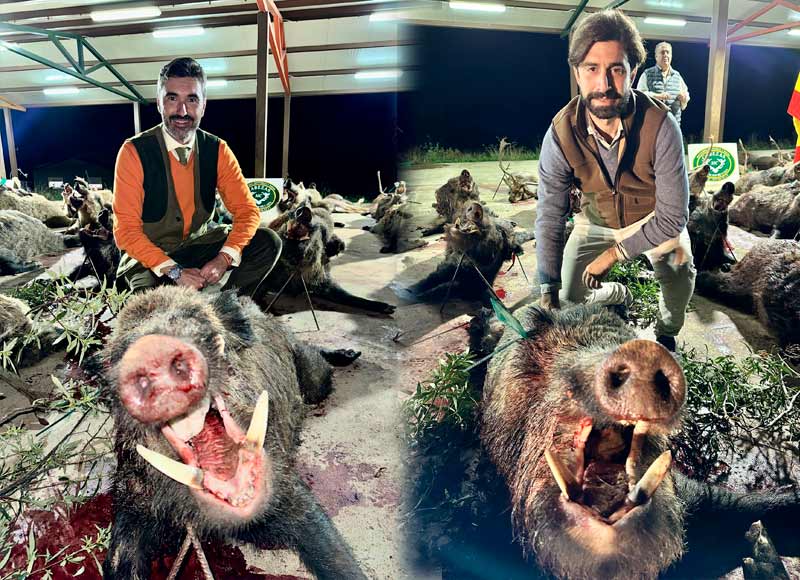 Chaqueta Caza Blaser