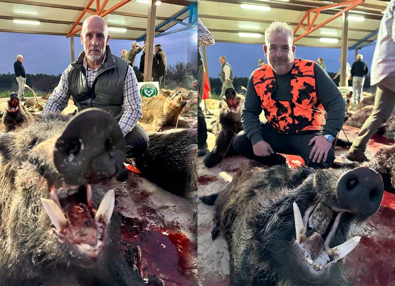 Chaqueta Caza Blaser