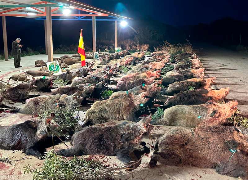 Chaqueta Caza Blaser