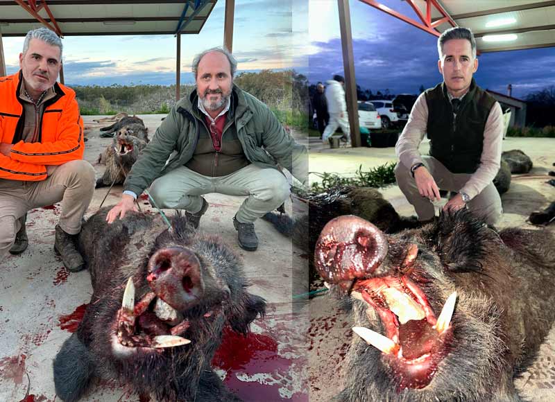 Chaqueta Caza Blaser