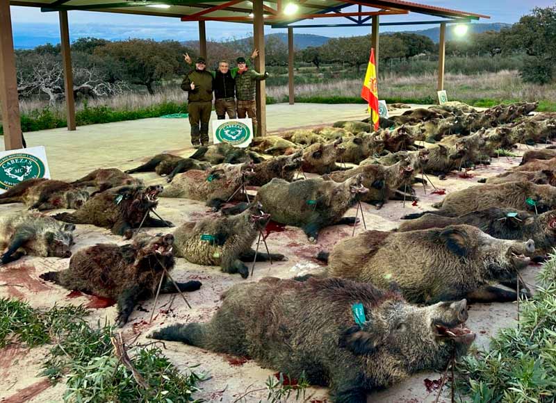 Chaqueta Caza Blaser