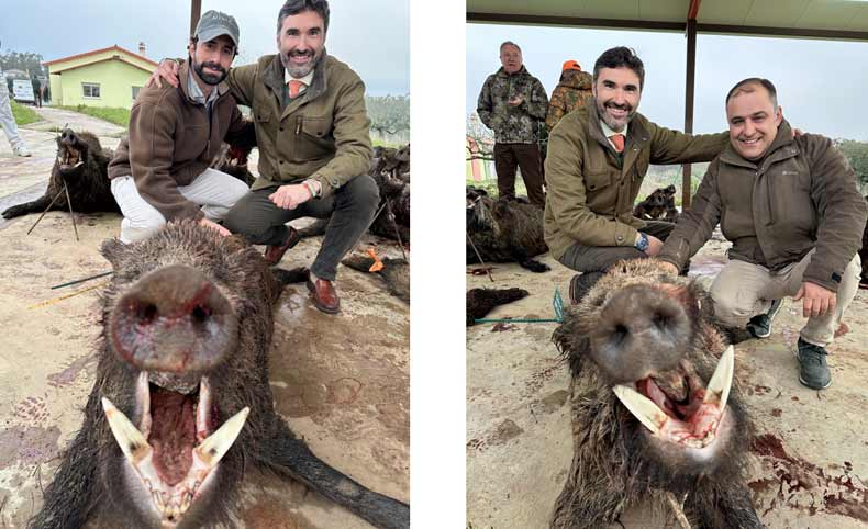 El Cotano a2 2025 01