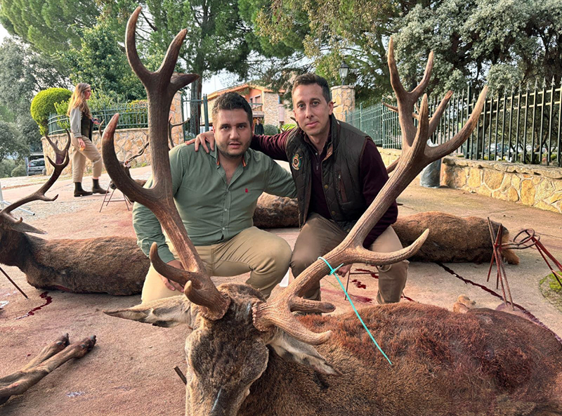 Chaqueta Caza Blaser