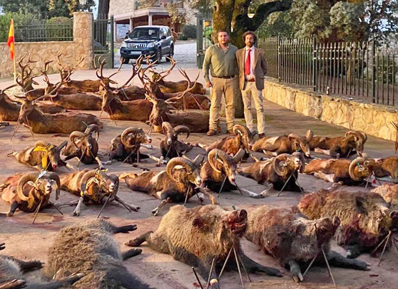 Chaqueta Caza Blaser