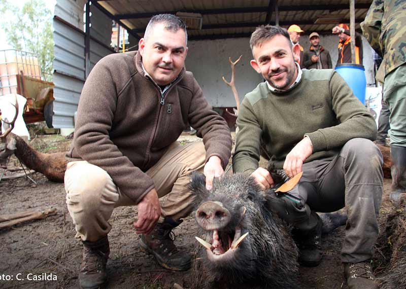 Chaqueta Caza Blaser