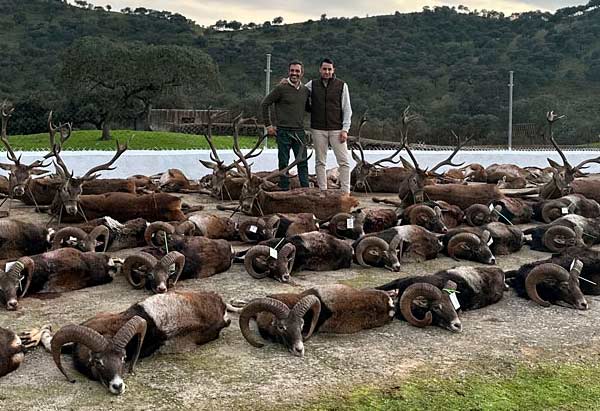 Chaqueta Caza Blaser