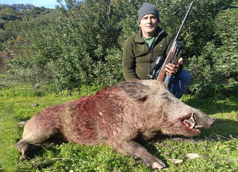 Chaqueta Caza Blaser